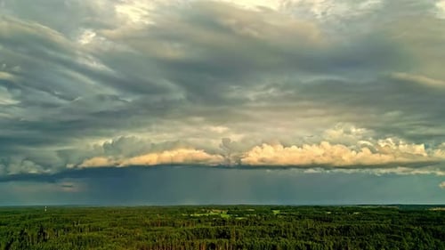 Dark storm clouds advance over a vast, dense forest, capturing the contrast between the green landsc