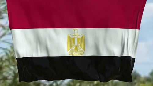 Waving Egypt National Flag Animation