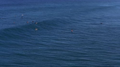 Aerial shot of tourists surfing waves in the sea in the Maldives