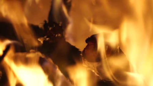 Burning Wood Creates Golden Campfire Flames