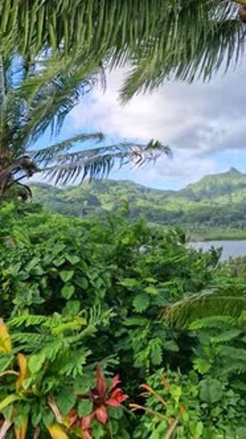 Vertical View of Tropical Lush of French Polynesia. Breathtaking Island Landscape