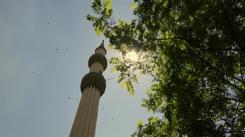 Ralenti. Des oiseaux volent, font le tour de la mosquée. Une branche d'arbre est visible sur le côté droit.
HD