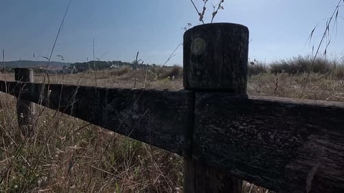 Old wooden fence battered by the climate of the coast with dry vegetation on desert and sandy soil o