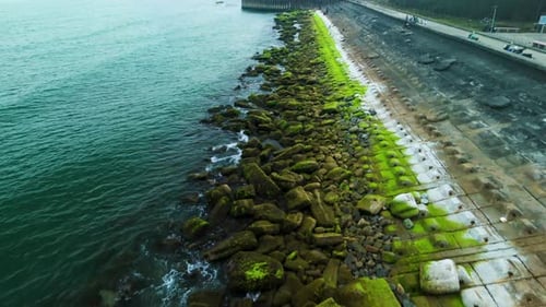 Powerful Waves Surging Against Algae Covered Tetrapods Forming Protective Coastal Barrier Blocking