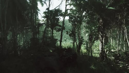 Lush Green Jungle in Vietnam Showcasing Vibrant Flora and Dense Foliage