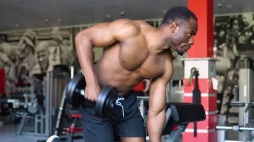 Muscular Man Lifting Dumbbell in the Gym