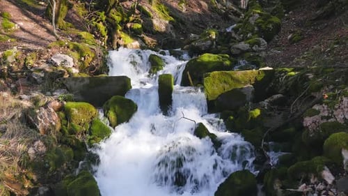 Un sereno arroyo de montaña fluye suavemente, rodeado de exuberante vegetación y hermosas cascadas