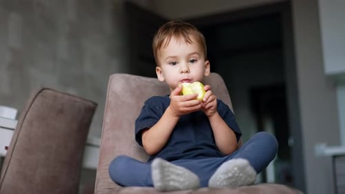 Cute Boy Eating an Apple on a Chair