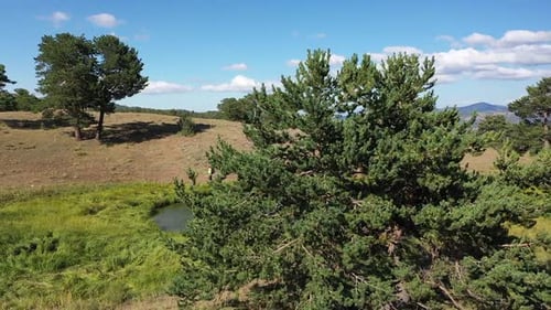 Group Of People Trekking By The Small Lake