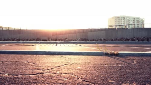 Empty Beach Car Park Spaces Covered in Asphalt