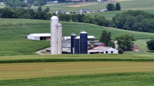 Rural farm scene in USA. Barns and silos amidst rolling fields of green crops. Farm buildings and pa