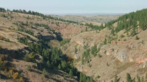 A Narrow Forest-Lined Canyon Sits in Stark Contrast with the Surrounding High