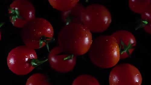 Close-up of Ripe Cherry Tomatoes on Black