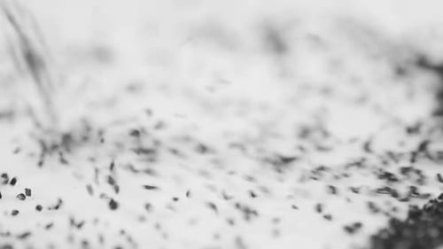 Black Fragments Pouring onto White Surface in Close Up