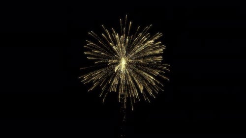 Sparkling Golden Firework Burst on Black Background