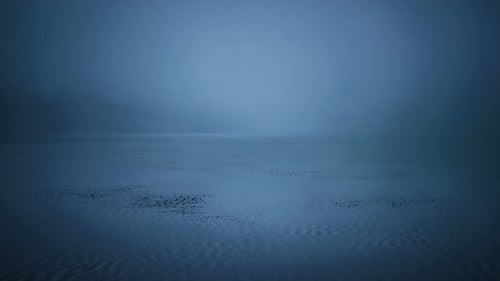 Serene Water Ripplesa Serene Ocean Surface