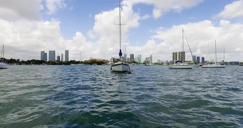 Segelboote in Miami Bay