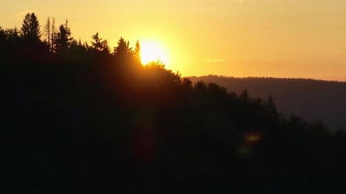 Scenic Forest Silhouette at Sunset with Glowing Sun on the Horizon Warm Orange Sky and Tall Pine