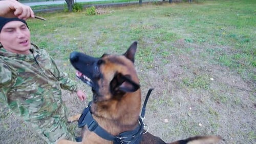Man Training Dog to Stand on Hind Legs