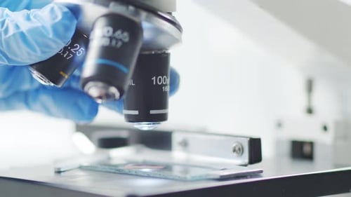 Gloved Hand Adjusting Scientific Microscope in Laboratory