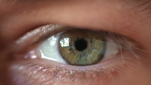 Human Man Eye Extreme Close Up