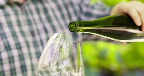 Männlicher Winzer oder Sommelier gießt Rotwein ins Glas