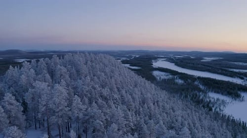 Aerial view orbiting frosty snow covered winter woodland hillside surrounded by Scandinavian landsca
