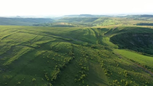 High Angle Aerial Above View of Green Meadow in the Spring, Countryside Hills