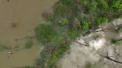 Flood in the forest, aerial view.