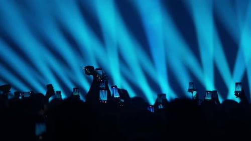 Crowd Silhouettes Enjoying Concert with Phones and Lights