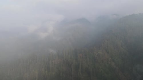 Rainy weather in mountains. Misty fog blowing over pine tree forest. Aerial footage of spruce forest