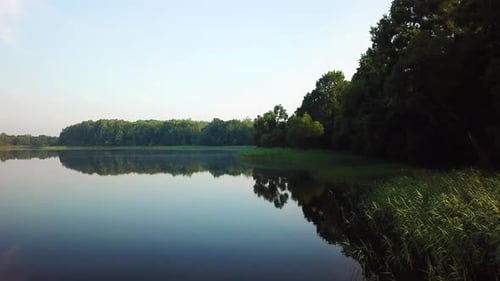 Nature Of Lake Sitnyanskoe 17