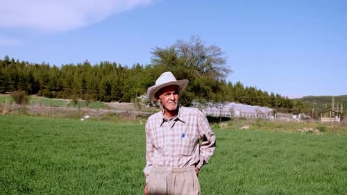 An Old Man In The Greenhouse Field