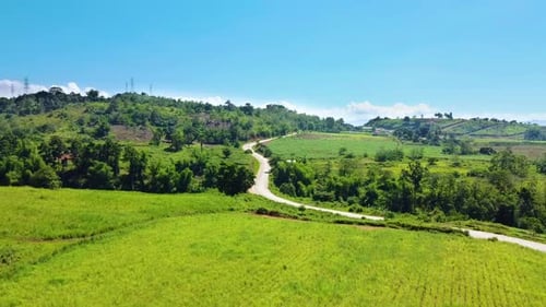 Uma estrada sinuosa panorâmica que se estende pela paisagem campestre