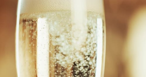 Bubbles Rising in a Champagne Flute Glass