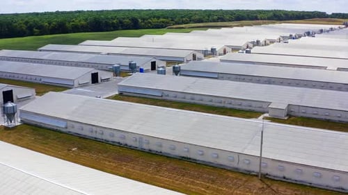 White buildings for agribusiness on green forest background. Modern farmhouses for livestock.