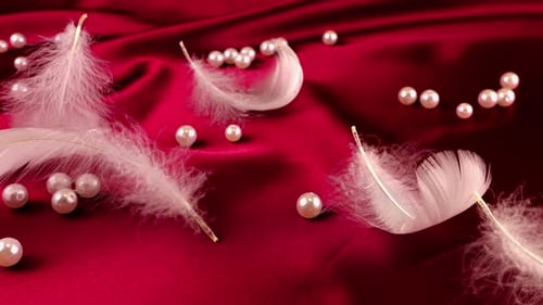 White swan feathers fall on red silk with pearls. Slow motion.