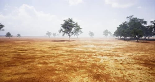 Dusty Landscape with Sparse Trees and Hazy Sky in a Dry Region