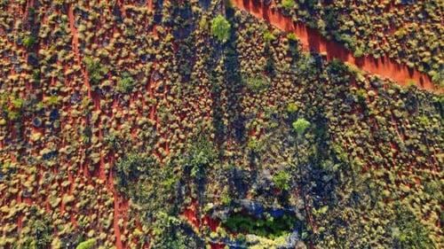 Aerial view of desert landscape, Australia.