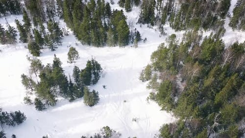 Snowmobile Riding Through Snowy Forest in Winter