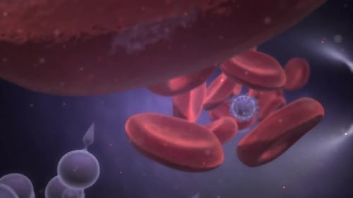 Microscopic View of Red Blood Cells and Viruses Circulating