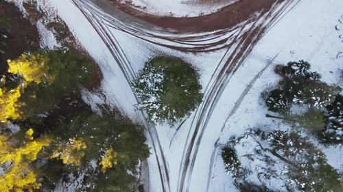 Birds Eye View of Snowy Winter Forest