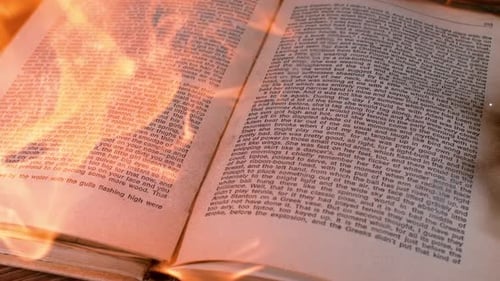 Seiten eines in Flammen versunkenen Buches, das an künstlerische Nuancen erinnert und das Konzept der Transformati darstellt