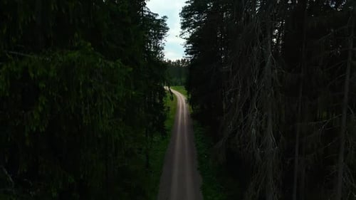 Aerial View of a Serene Forest Road During Sunset in the Late Evening Showing Natures Beauty and