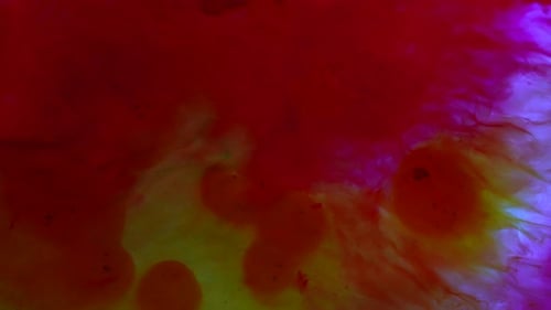 Beautiful Red and Yellow Ink Colored Water Blowing By the Wind Mixing Colors Abstract Background