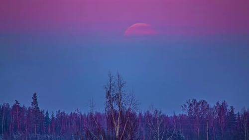 A supermoon rises through the atmospheric haze to illuminate a forest - time lapse