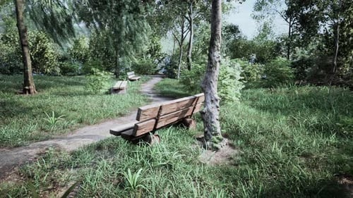 Beautiful Bench in the Park at Spring Sunny Day