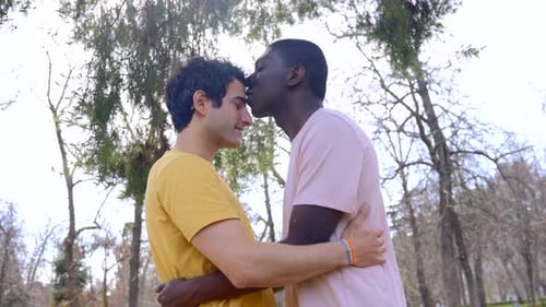 lgbt concept, couple of multiethnic men in a park in a romantic pose