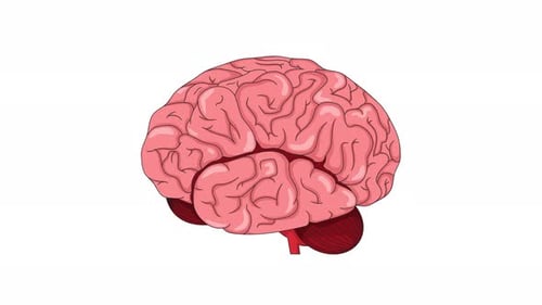Human brain lateral view with neurons cartoon animation