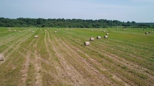 Aerial View of Hay Bales on the Green Field Beautiful Rural Landscape